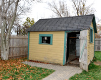 Back yard shed