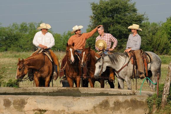 Watering the horses