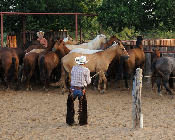 Thomas roping