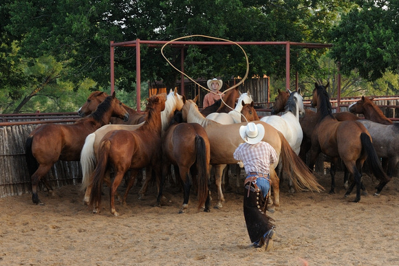 Thomas roping