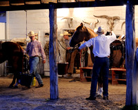 Eddie Thomson prepares his horse