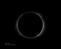 2017 Total Solar Eclipse -Red prominence plasmas