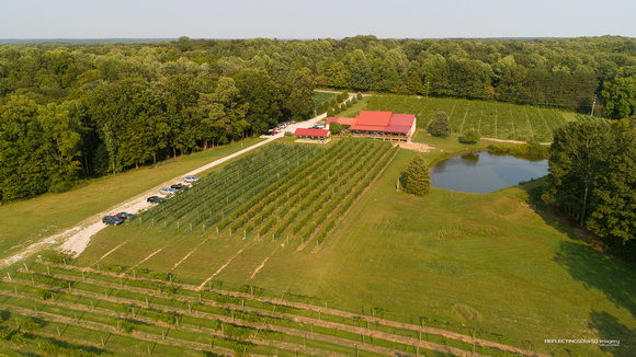 Butler Winery and Vineyards